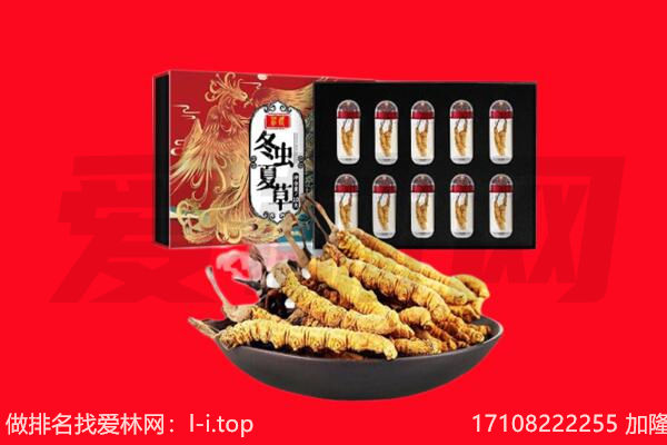 哈密回收虫草.jpg